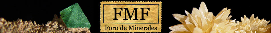 Foro FMF