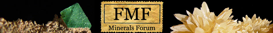 FMF Forum